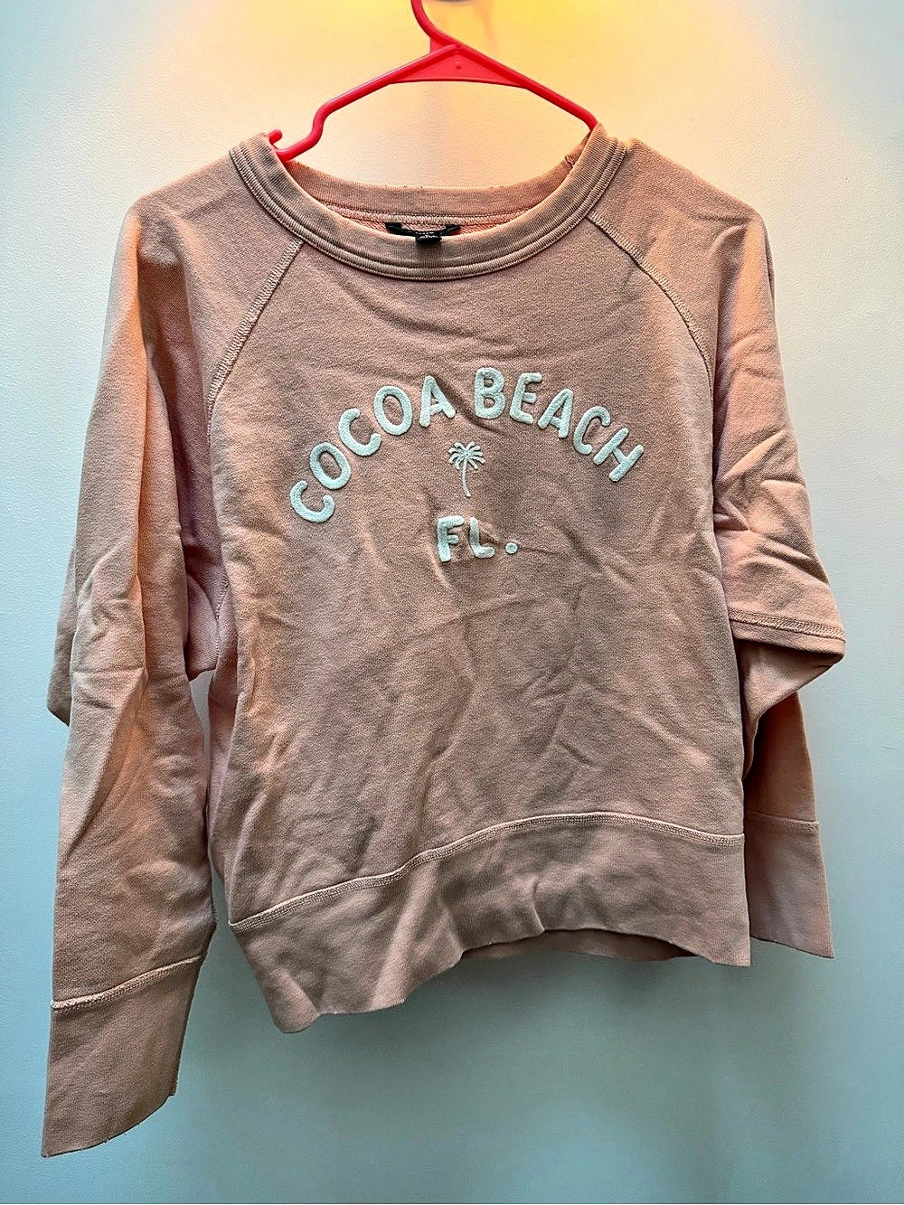 J.Crew Cocoa Beach Graphic Sweatshirt Pink Small